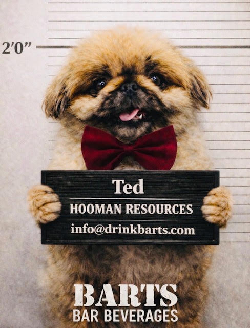Ted